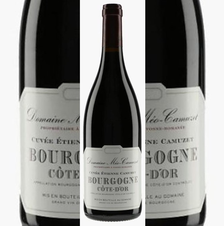 Bourgogne Côte d'Or Rouge cuvée Etienne Camuzet 2023 Méo Camuzet btl.