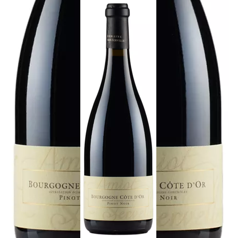 Bourgogne Cote d'Or Pinot Noir 2021 Amiot Servelle btl.