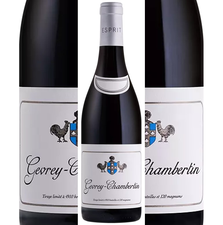 Gevrey Chambertin 2021 Esprit Leflaive btl.