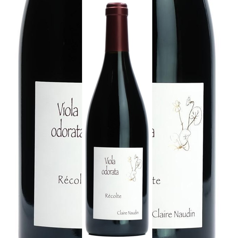 Côtes de Nuits villages Viola Odorata 2022 Claire Naudin btl.